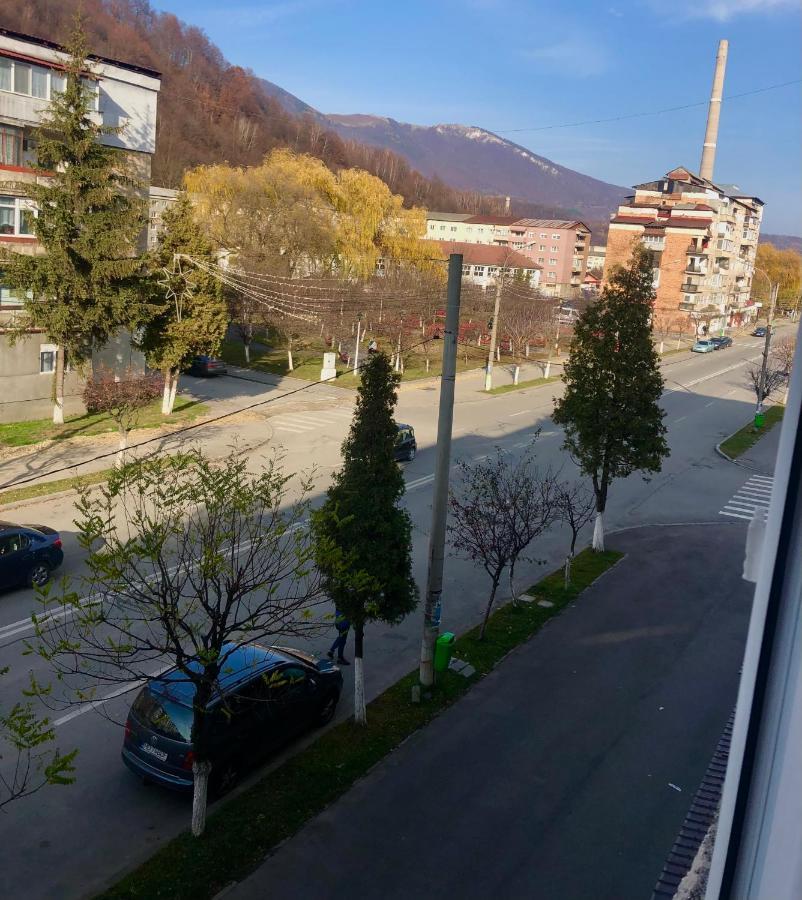 La Symo Apartament Straja Lupeni Lupeni  Esterno foto