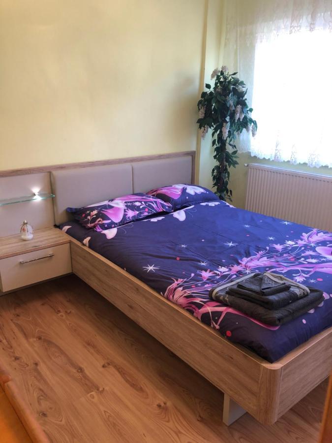 La Symo Apartament Straja Lupeni Lupeni  Esterno foto