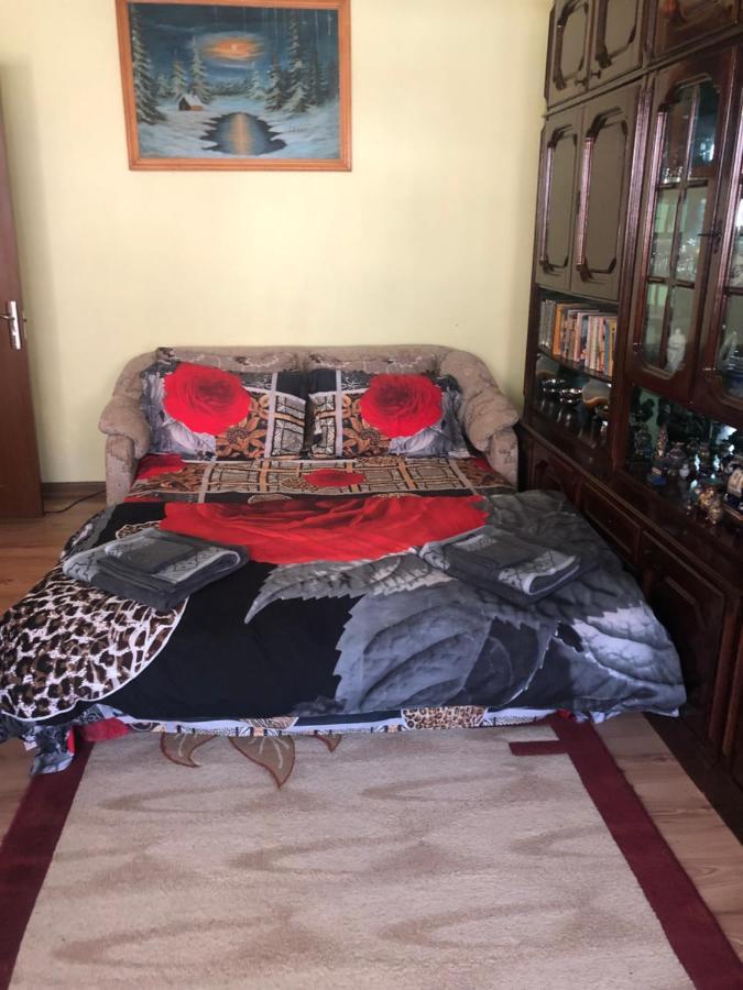 La Symo Apartament Straja Lupeni Lupeni  Esterno foto