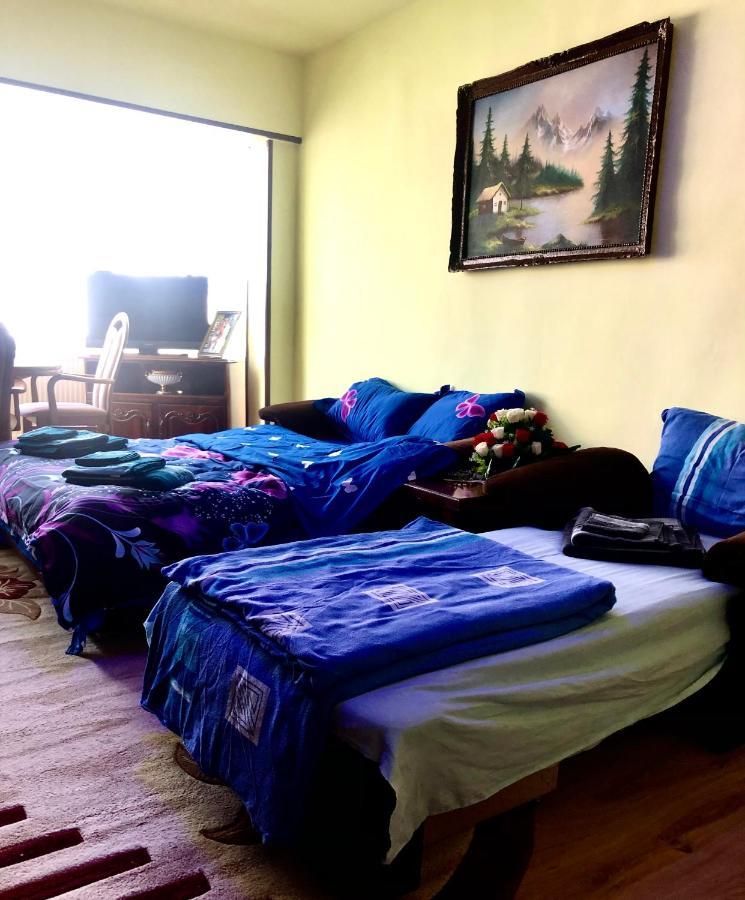 La Symo Apartament Straja Lupeni Lupeni  Esterno foto