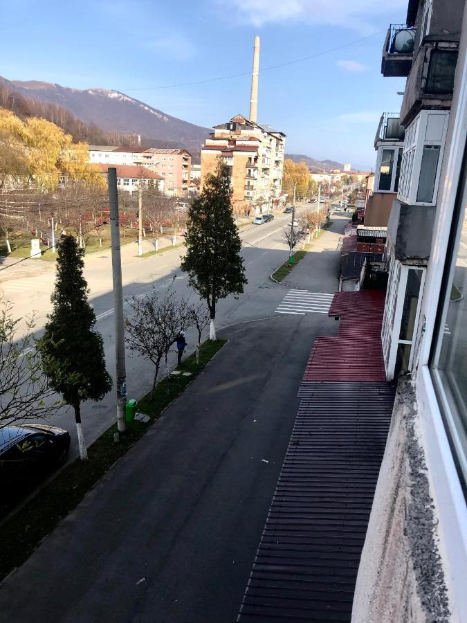 La Symo Apartament Straja Lupeni Lupeni  Esterno foto