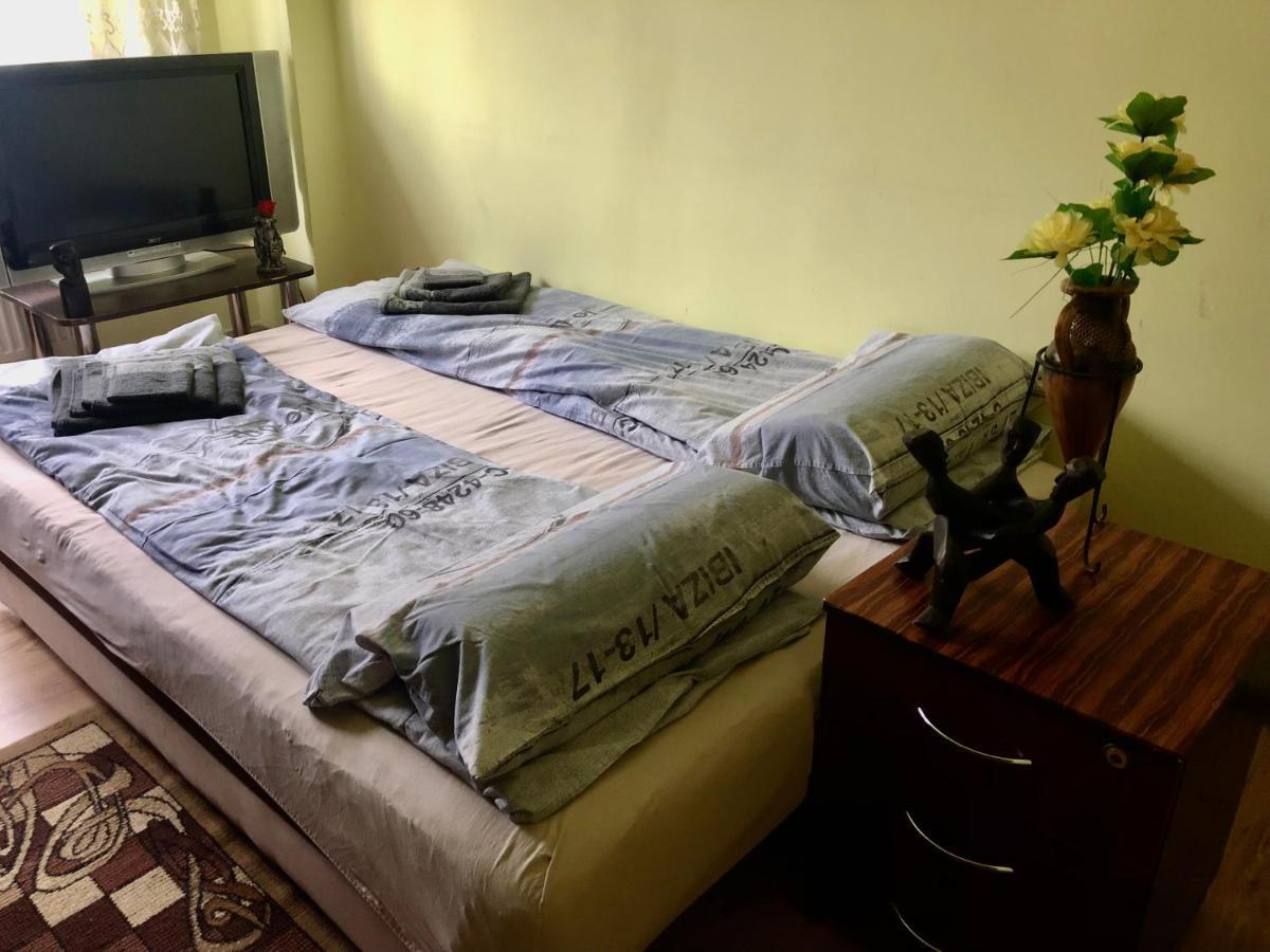 La Symo Apartament Straja Lupeni Lupeni  Esterno foto