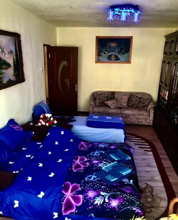 La Symo Apartament Straja Lupeni Lupeni  Esterno foto