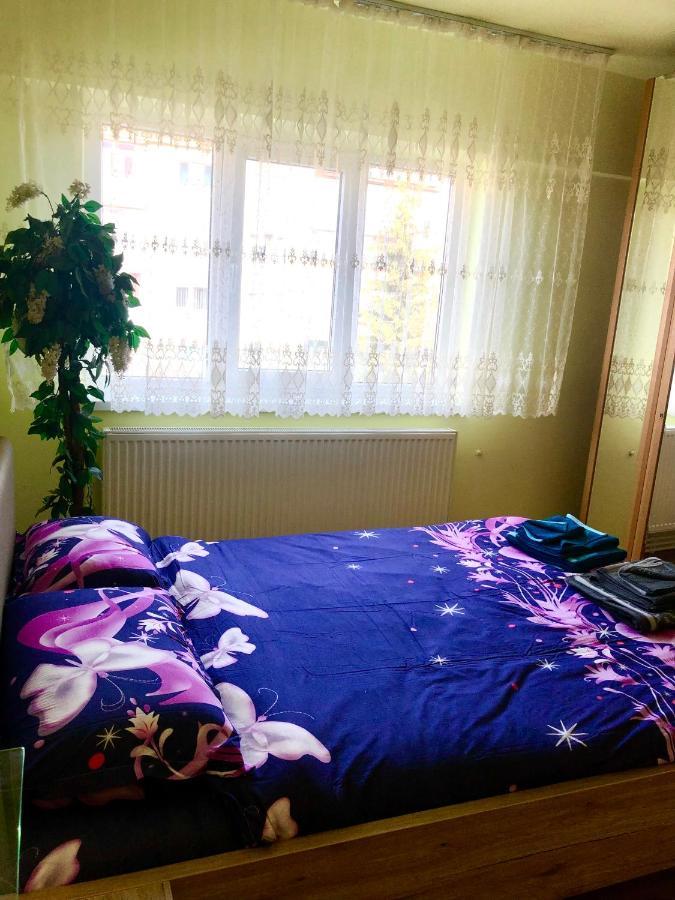 La Symo Apartament Straja Lupeni Lupeni  Esterno foto