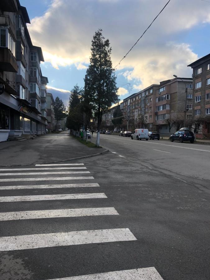 La Symo Apartament Straja Lupeni Lupeni  Esterno foto