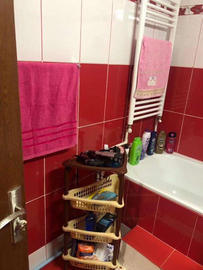La Symo Apartament Straja Lupeni Lupeni  Esterno foto