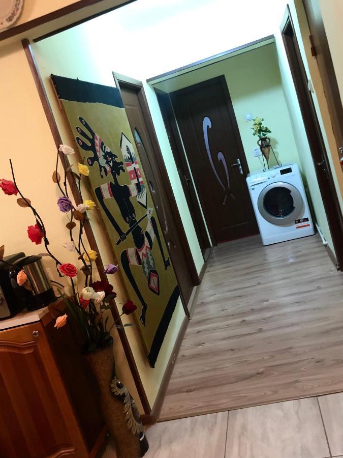 La Symo Apartament Straja Lupeni Lupeni  Esterno foto