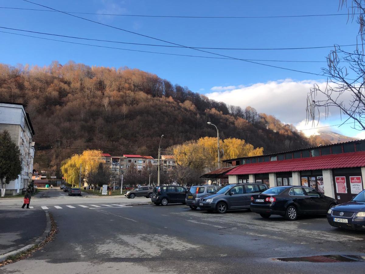 La Symo Apartament Straja Lupeni Lupeni  Esterno foto