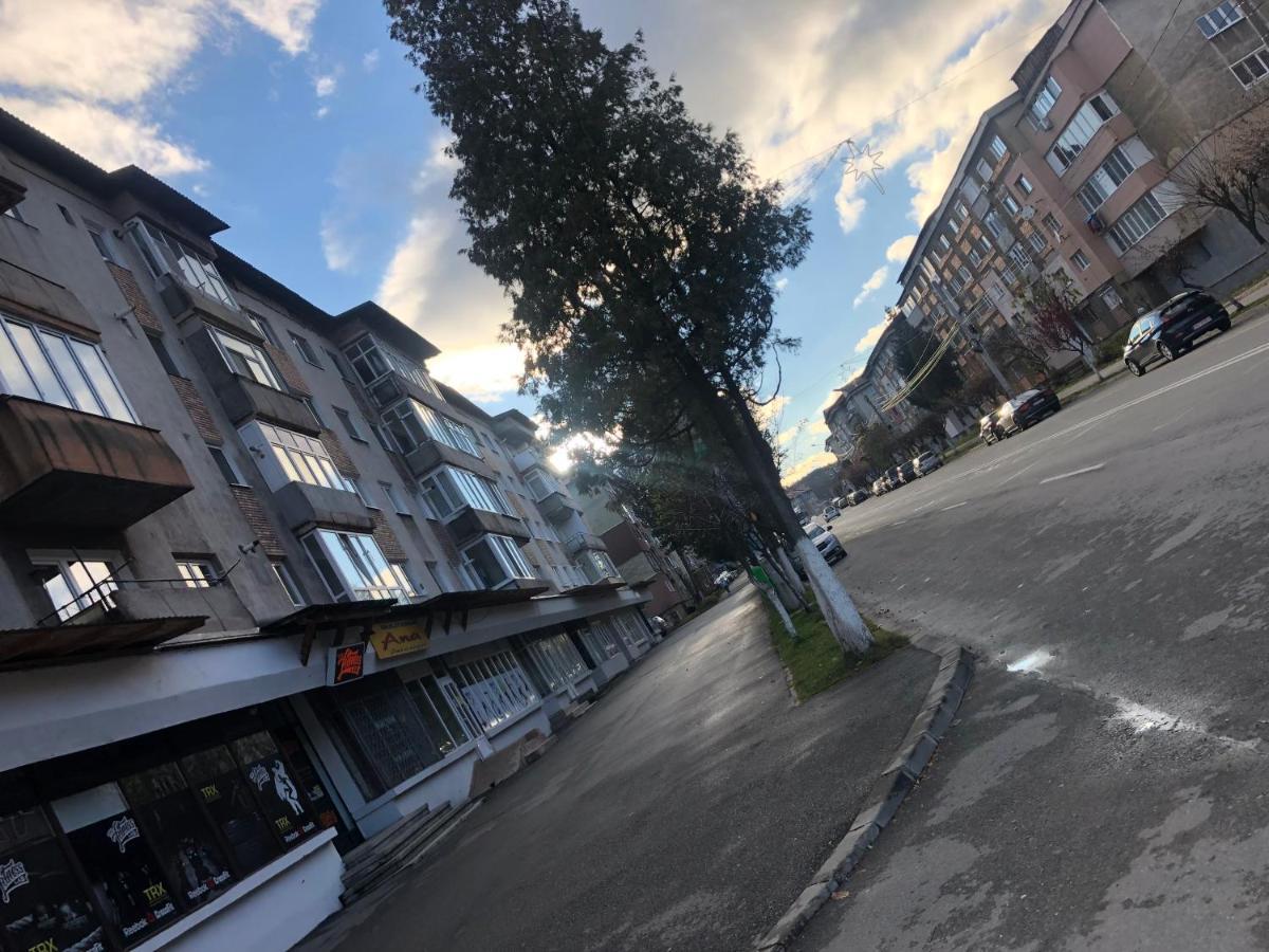 La Symo Apartament Straja Lupeni Lupeni  Esterno foto