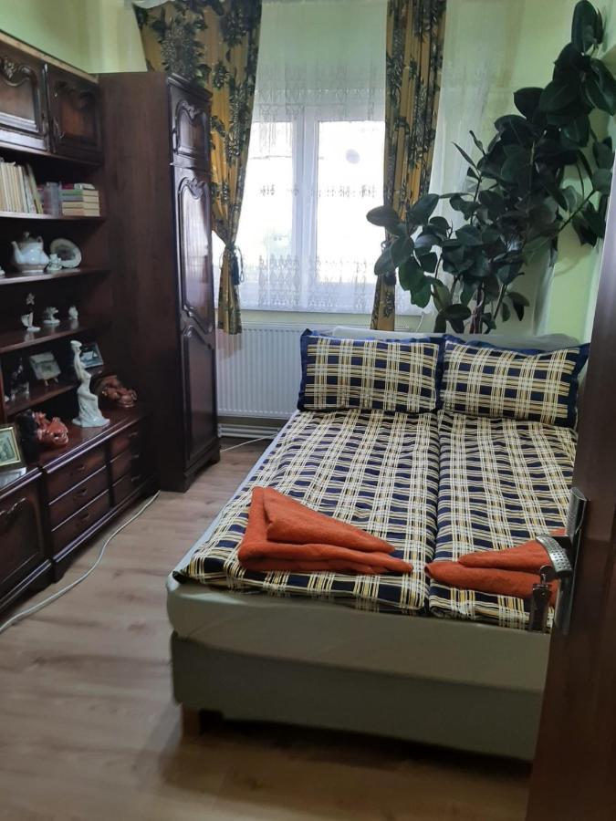 La Symo Apartament Straja Lupeni Lupeni  Esterno foto